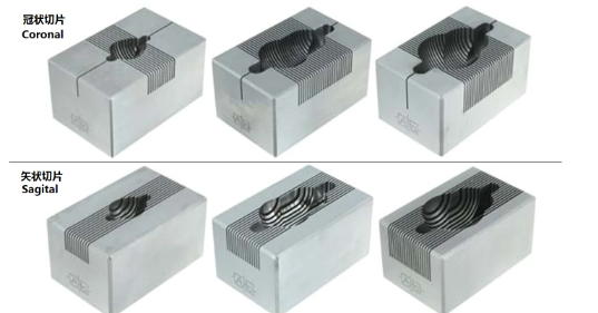 腦模具150-300G大鼠，冠狀，0.5MM